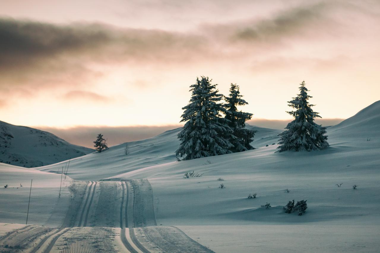 Rondane Hytter Og Leiligheter Отта Экстерьер фото